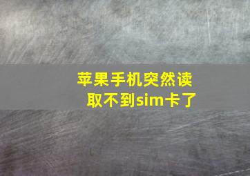 苹果手机突然读取不到sim卡了