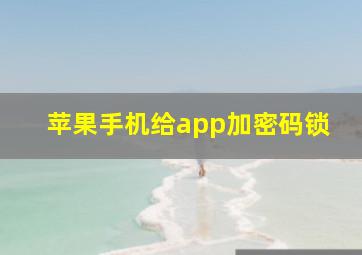 苹果手机给app加密码锁