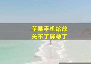 苹果手机缩放关不了屏幕了