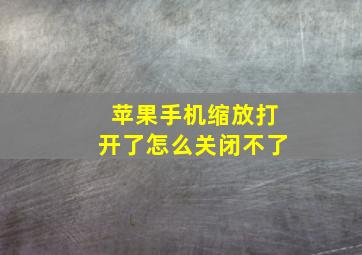 苹果手机缩放打开了怎么关闭不了