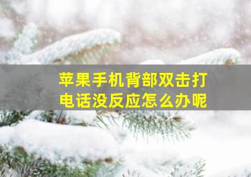 苹果手机背部双击打电话没反应怎么办呢