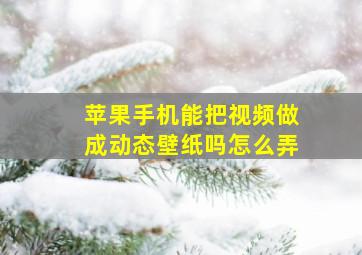 苹果手机能把视频做成动态壁纸吗怎么弄