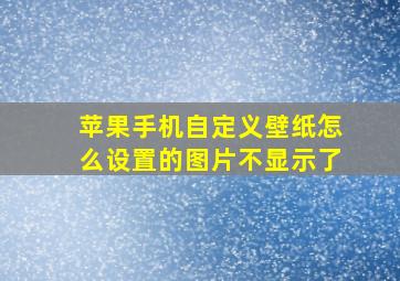 苹果手机自定义壁纸怎么设置的图片不显示了