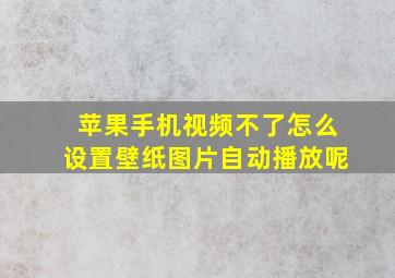 苹果手机视频不了怎么设置壁纸图片自动播放呢