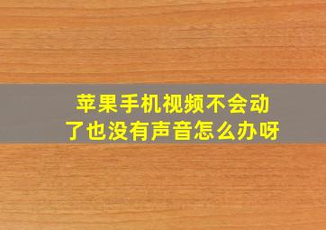 苹果手机视频不会动了也没有声音怎么办呀