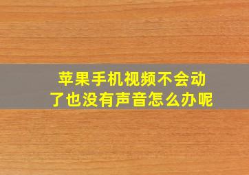 苹果手机视频不会动了也没有声音怎么办呢