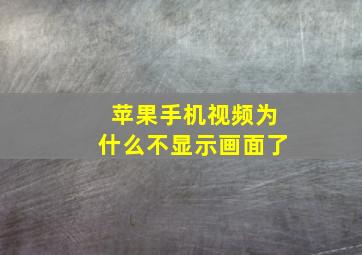 苹果手机视频为什么不显示画面了