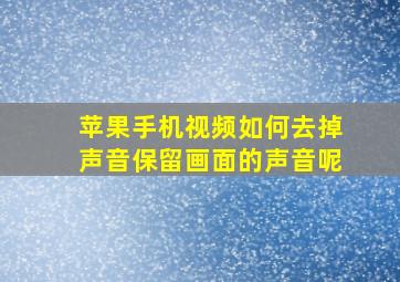 苹果手机视频如何去掉声音保留画面的声音呢