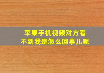 苹果手机视频对方看不到我是怎么回事儿呢