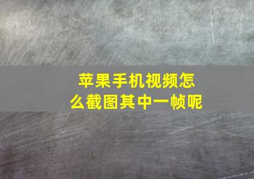 苹果手机视频怎么截图其中一帧呢