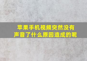 苹果手机视频突然没有声音了什么原因造成的呢