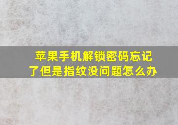 苹果手机解锁密码忘记了但是指纹没问题怎么办