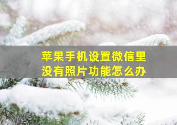 苹果手机设置微信里没有照片功能怎么办