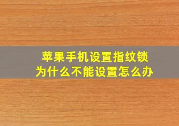 苹果手机设置指纹锁为什么不能设置怎么办