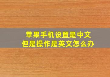 苹果手机设置是中文但是操作是英文怎么办