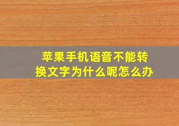 苹果手机语音不能转换文字为什么呢怎么办