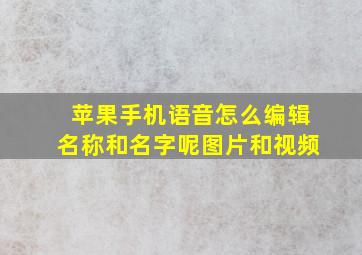 苹果手机语音怎么编辑名称和名字呢图片和视频