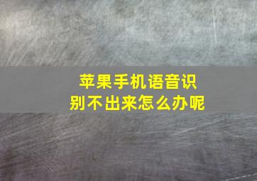 苹果手机语音识别不出来怎么办呢