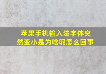 苹果手机输入法字体突然变小是为啥呢怎么回事