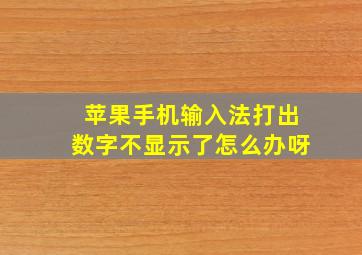 苹果手机输入法打出数字不显示了怎么办呀