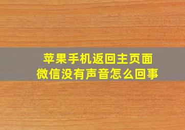 苹果手机返回主页面微信没有声音怎么回事