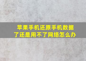 苹果手机还原手机数据了还是用不了网络怎么办