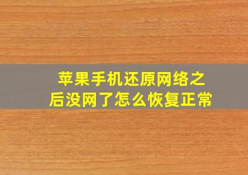 苹果手机还原网络之后没网了怎么恢复正常