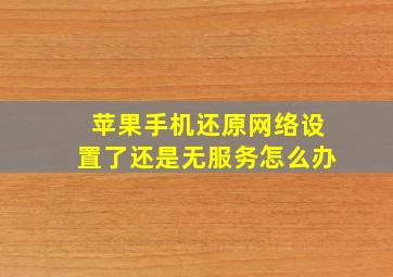 苹果手机还原网络设置了还是无服务怎么办