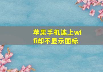 苹果手机连上wifi却不显示图标