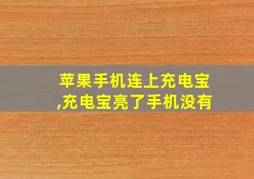 苹果手机连上充电宝,充电宝亮了手机没有