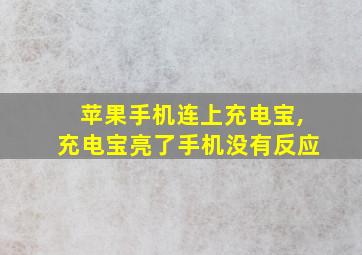 苹果手机连上充电宝,充电宝亮了手机没有反应