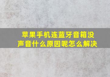 苹果手机连蓝牙音箱没声音什么原因呢怎么解决