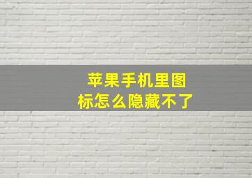 苹果手机里图标怎么隐藏不了