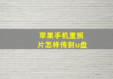 苹果手机里照片怎样传到u盘