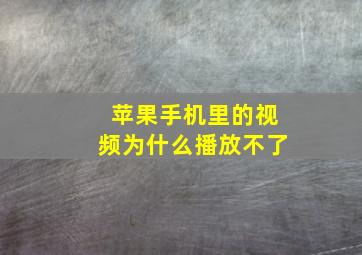 苹果手机里的视频为什么播放不了