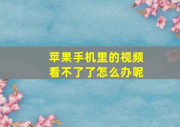 苹果手机里的视频看不了了怎么办呢