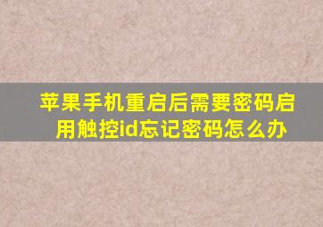 苹果手机重启后需要密码启用触控id忘记密码怎么办