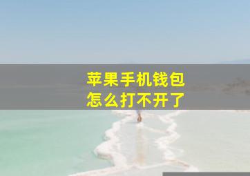 苹果手机钱包怎么打不开了