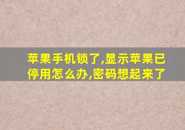 苹果手机锁了,显示苹果已停用怎么办,密码想起来了