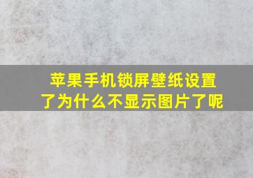 苹果手机锁屏壁纸设置了为什么不显示图片了呢