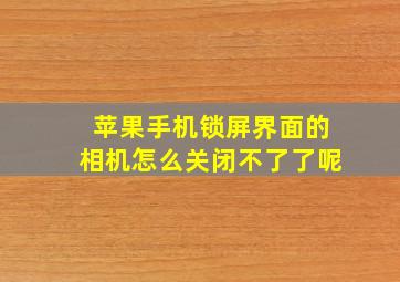 苹果手机锁屏界面的相机怎么关闭不了了呢