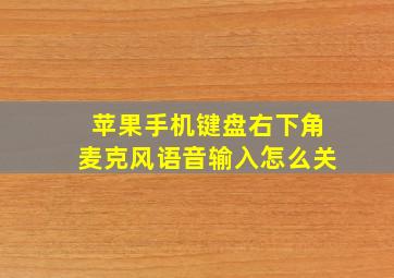 苹果手机键盘右下角麦克风语音输入怎么关