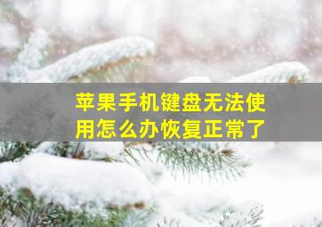 苹果手机键盘无法使用怎么办恢复正常了