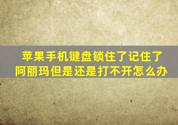 苹果手机键盘锁住了记住了阿丽玛但是还是打不开怎么办