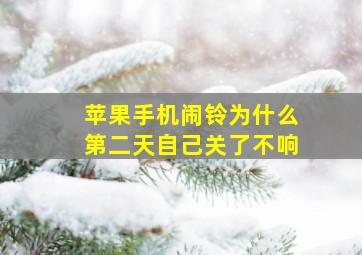 苹果手机闹铃为什么第二天自己关了不响