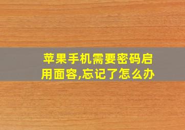 苹果手机需要密码启用面容,忘记了怎么办