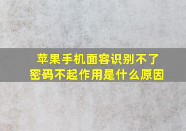 苹果手机面容识别不了密码不起作用是什么原因