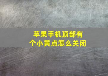 苹果手机顶部有个小黄点怎么关闭