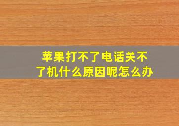 苹果打不了电话关不了机什么原因呢怎么办