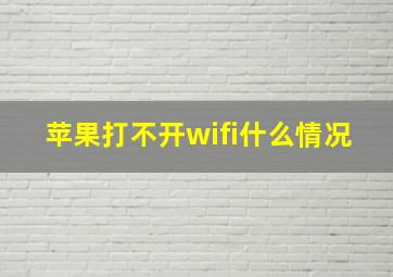 苹果打不开wifi什么情况